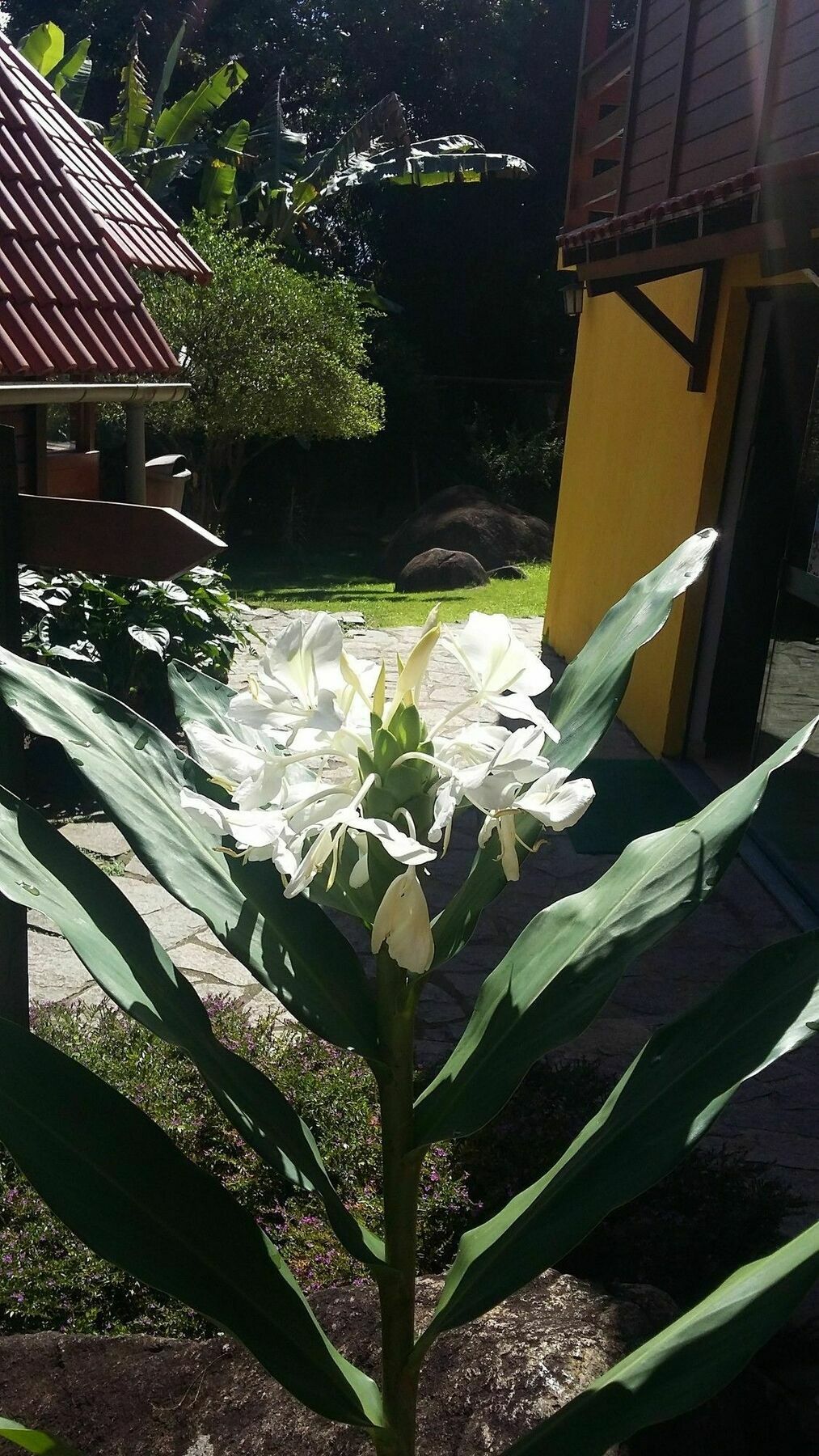 Inn Mata Nativa 3*