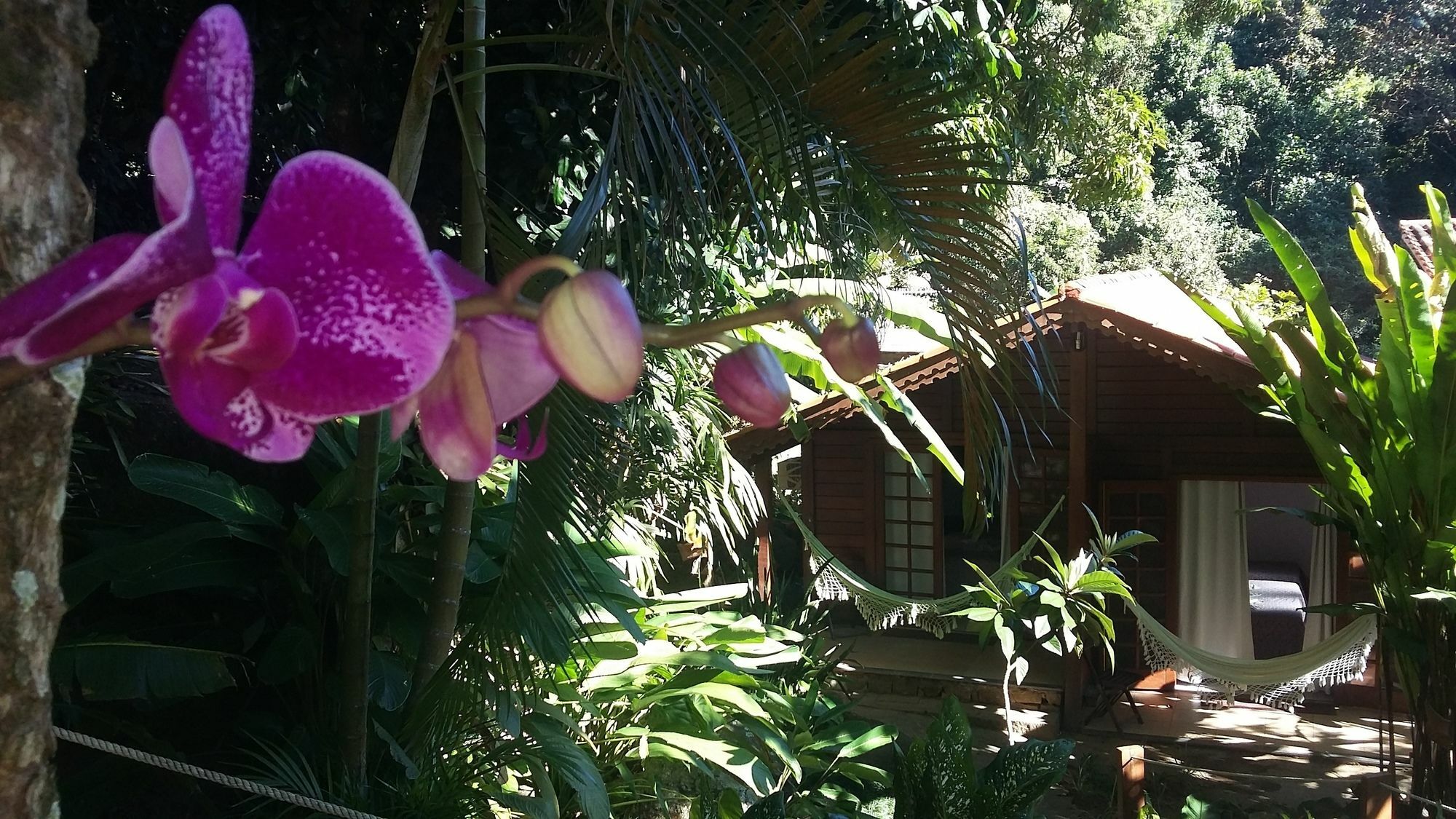 Inn Mata Nativa